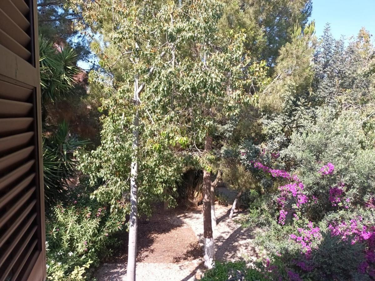Limnaria Deluxe Maisonette Paphos Bagian luar foto